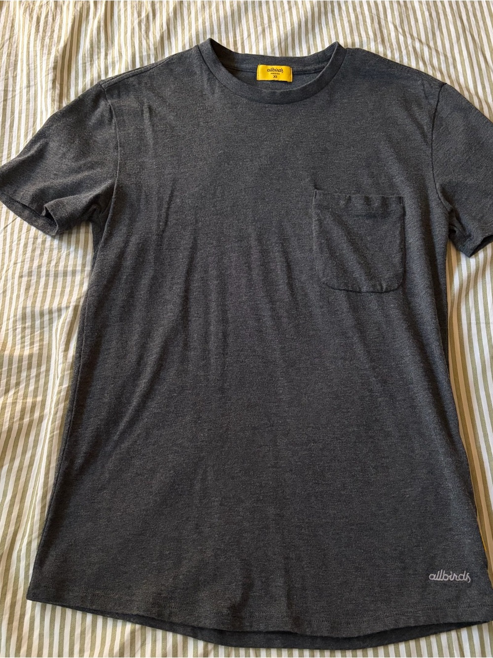 Allbirds Charcoal Gray Short-Sleeve Pocket Tee